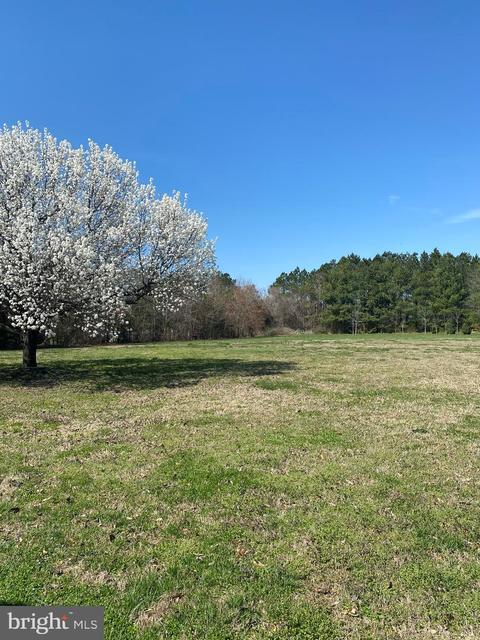 8141 Braggs Ln, Hebron, MD 21830 photo 5