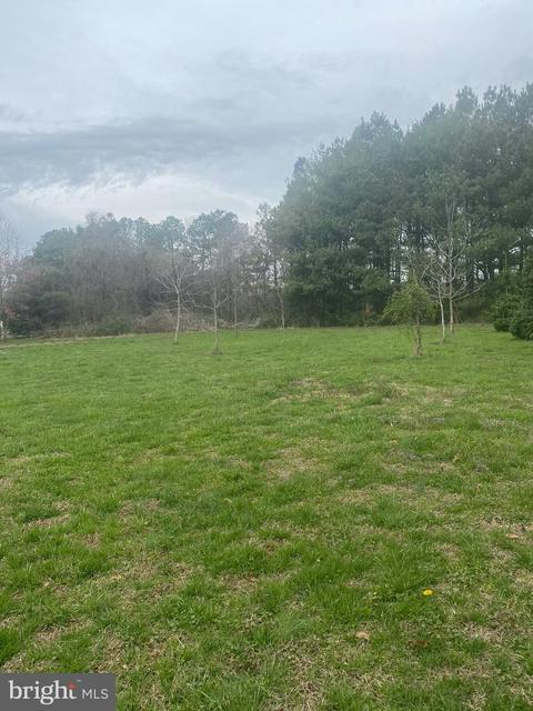 8141 Braggs Ln, Hebron, MD 21830 photo 21