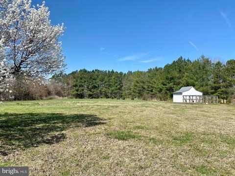 8141 Braggs Ln, Hebron, MD 21830 photo 6