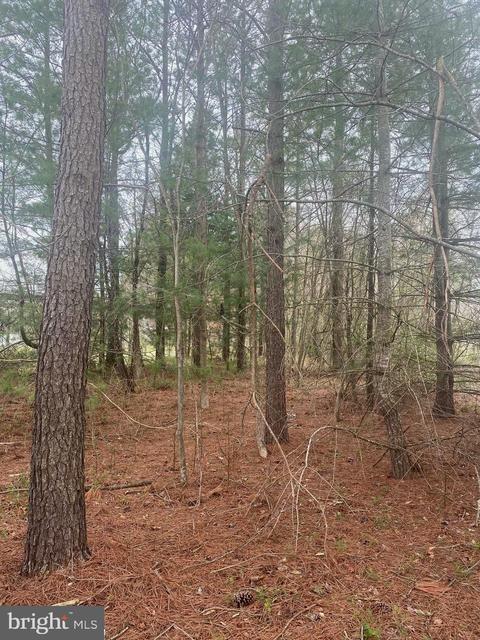 8141 Braggs Ln, Hebron, MD 21830 photo 15