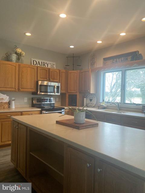 8141 Braggs Ln, Hebron, MD 21830 photo 26