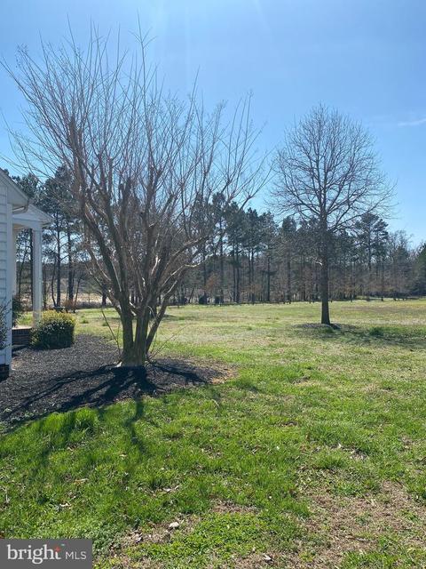 8141 Braggs Ln, Hebron, MD 21830 photo 7