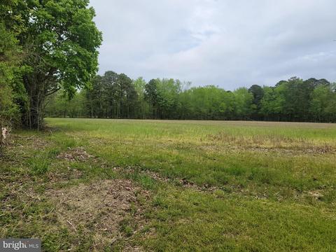 22342 Capitola Rd, Tyaskin, MD 21865 photo 30