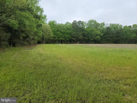 22342 Capitola Rd, Tyaskin, MD 21865 photo 33