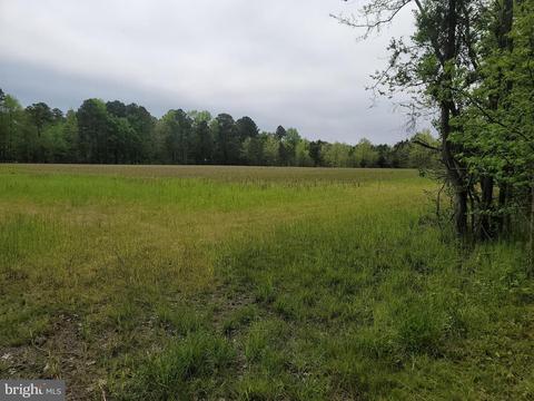 22342 Capitola Rd, Tyaskin, MD 21865 photo 32