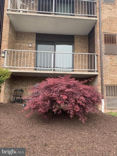 1020 2b Adams Ave, Salisbury, MD 21804 photo 3