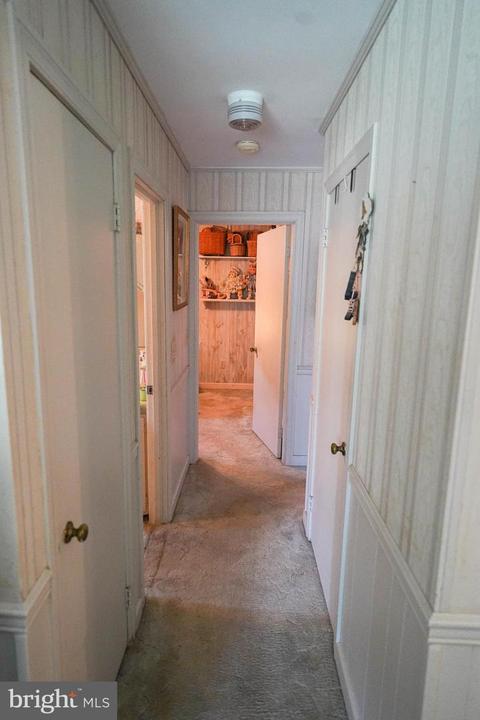 111 Johnson Dr, Salisbury, MD 21804 photo 37