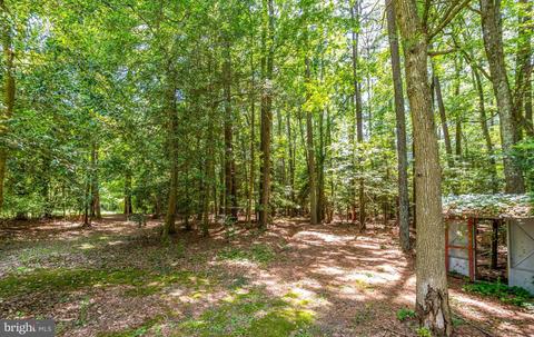26319 Pemberton Dr, Salisbury, MD 21801 photo 32
