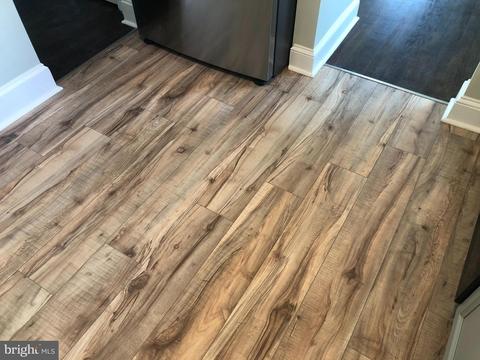 307 E College Ave, Salisbury, MD 21804 photo 9