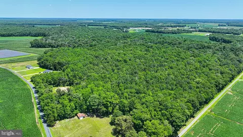 7775 New Hope Rd, Willards, MD 21874 photo 34