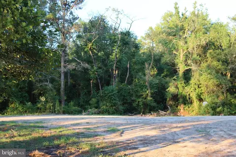 7775 New Hope Rd, Willards, MD 21874 photo 22