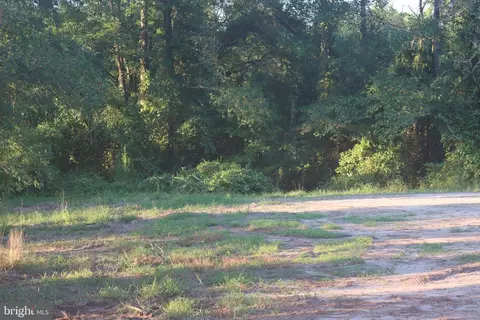 7775 New Hope Rd, Willards, MD 21874 photo 21