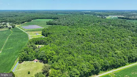 7775 New Hope Rd, Willards, MD 21874 photo 35