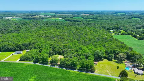 7775 New Hope Rd, Willards, MD 21874 photo 32