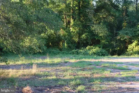 7775 New Hope Rd, Willards, MD 21874 photo 25