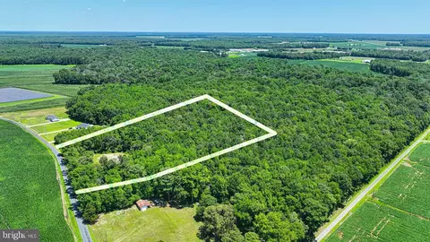 7775 New Hope Rd, Willards, MD 21874 photo 5