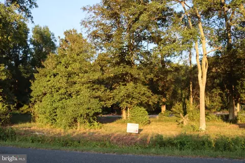 7775 New Hope Rd, Willards, MD 21874 photo 26