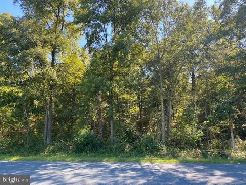 0 Taylors Trl, Mardela Springs, MD 21837