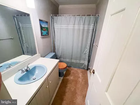 30496 W Rustic Dr, Salisbury, MD 21804 photo 36