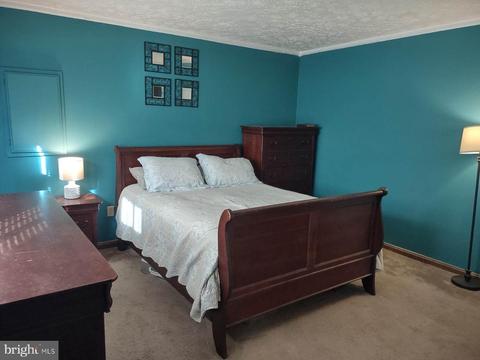 7354 Division St, Willards, MD 21874 photo 10