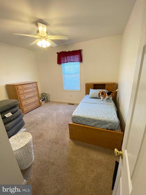 8838 Lennox Dr, Delmar, MD 21875 photo 38