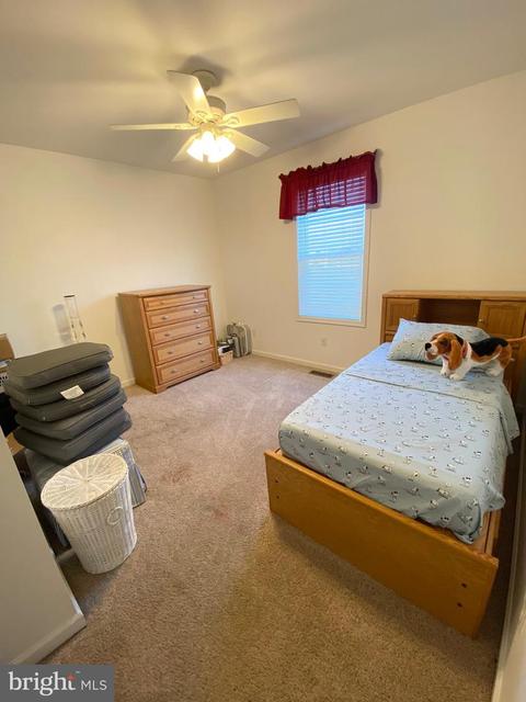 8838 Lennox Dr, Delmar, MD 21875 photo 37