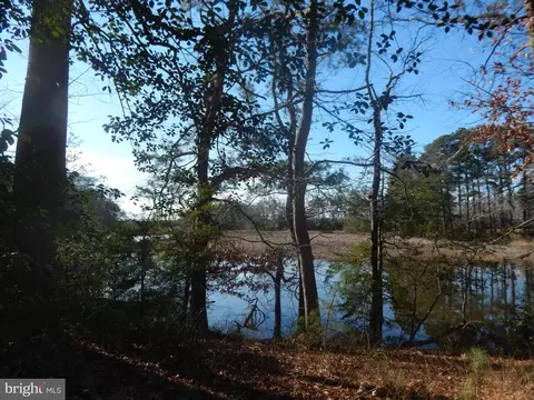 0 Blue Heron Way, Eden, MD 21822