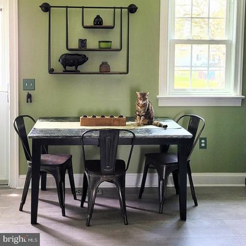 204 Louise Ave, Salisbury, MD 21804 photo 24