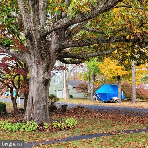 204 Louise Ave, Salisbury, MD 21804 photo 6