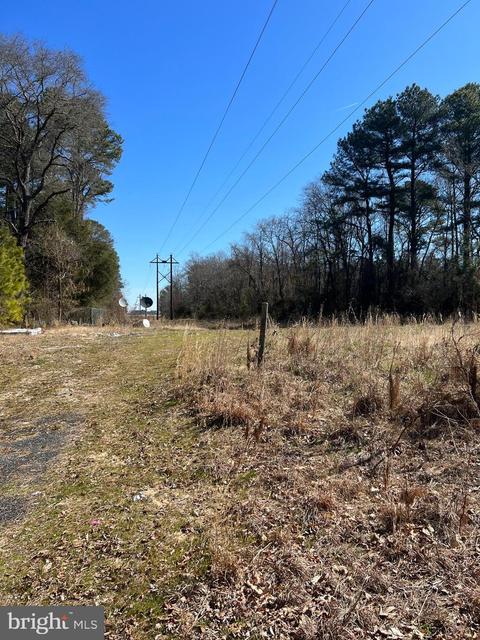 11497 Norris Twilley Rd, Mardela Springs, MD 21837