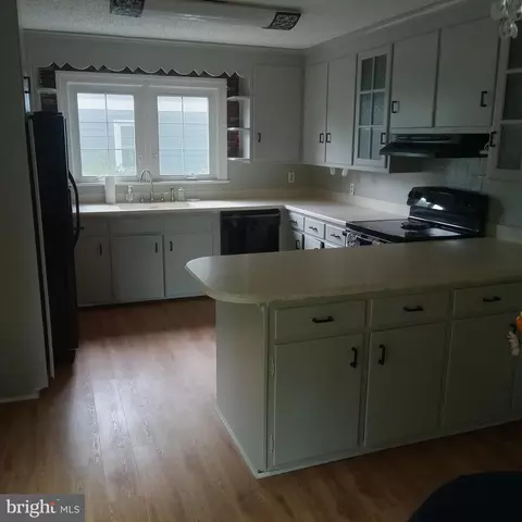 125 Greenmount, Salisbury, MD 21804 photo 12