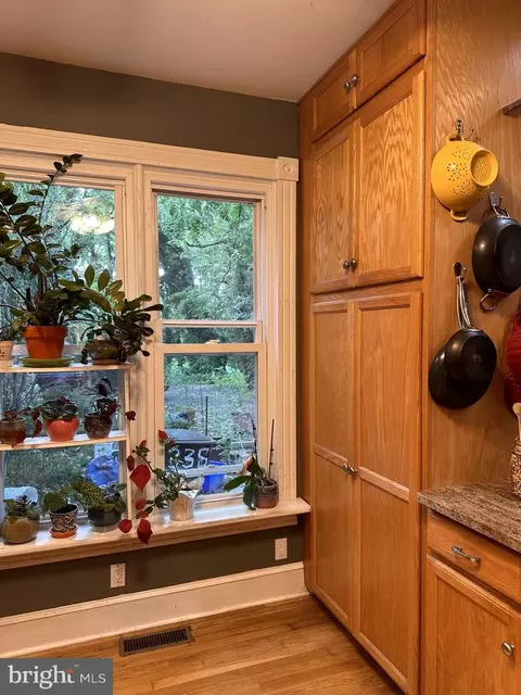 335 Camden Ave, Salisbury, MD 21801 photo 12