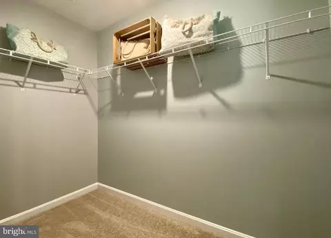 815 Tyne Loop, Salisbury, MD 21801 photo 25