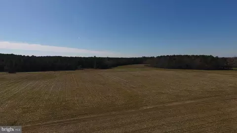 0 Ercel Timmons Rd, Willards, MD 21874 photo 14