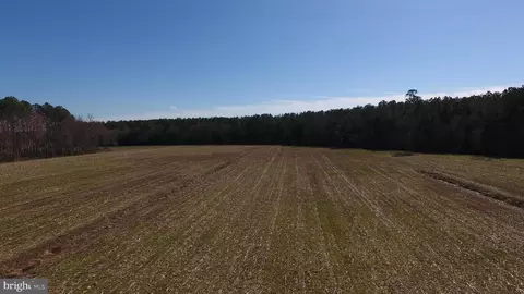 0 Ercel Timmons Rd, Willards, MD 21874 photo 25