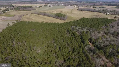 0 Ercel Timmons Rd, Willards, MD 21874 photo 34