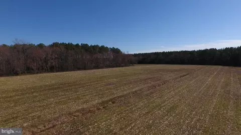 0 Ercel Timmons Rd, Willards, MD 21874 photo 24