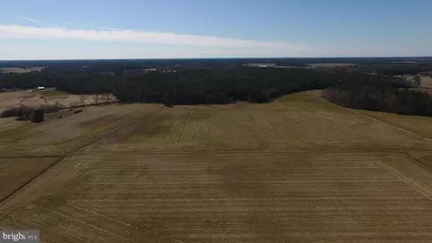 0 Ercel Timmons Rd, Willards, MD 21874 photo 10