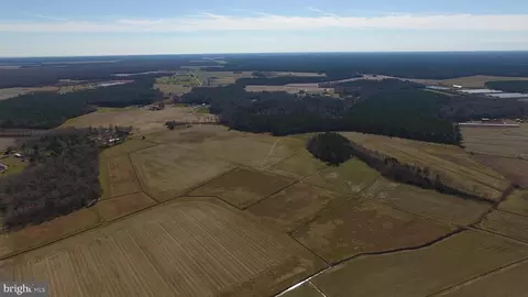 0 Ercel Timmons Rd, Willards, MD 21874 photo 6