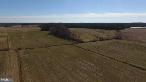 0 Ercel Timmons Rd, Willards, MD 21874 photo 3