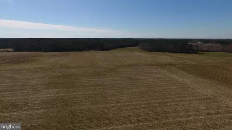 0 Ercel Timmons Rd, Willards, MD 21874 photo 40
