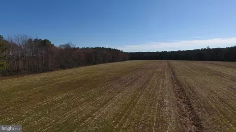 0 Ercel Timmons Rd, Willards, MD 21874 photo 27