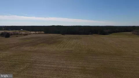 0 Ercel Timmons Rd, Willards, MD 21874 photo 12