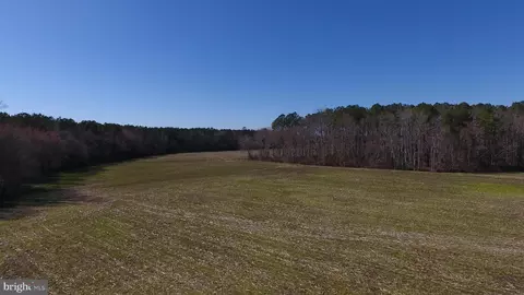 0 Ercel Timmons Rd, Willards, MD 21874 photo 16