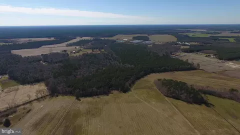 0 Ercel Timmons Rd, Willards, MD 21874 photo 9