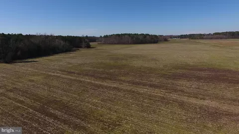 0 Ercel Timmons Rd, Willards, MD 21874 photo 43