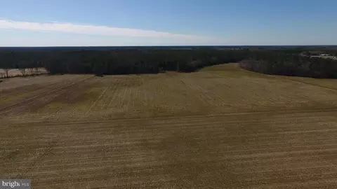 0 Ercel Timmons Rd, Willards, MD 21874 photo 11