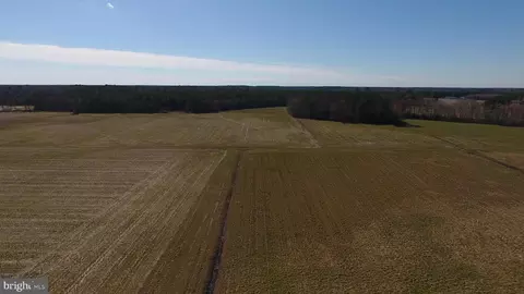 0 Ercel Timmons Rd, Willards, MD 21874 photo 39