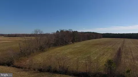 0 Ercel Timmons Rd, Willards, MD 21874 photo 29