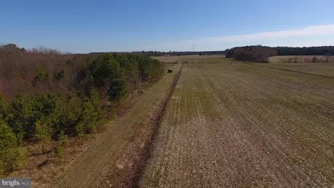 0 Ercel Timmons Rd, Willards, MD 21874 photo 44